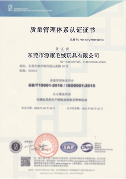 中文版ISO证书